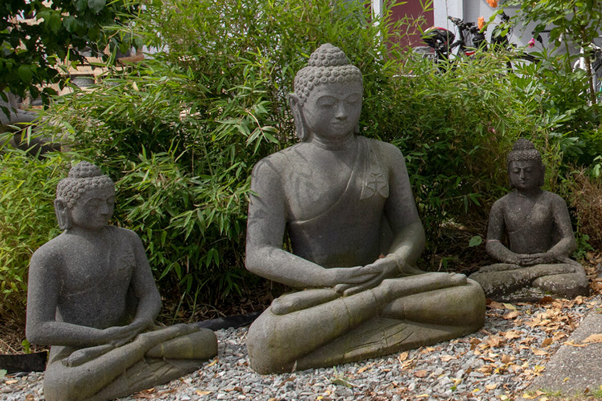 Grosse Auswahl an Buddha-Statuen